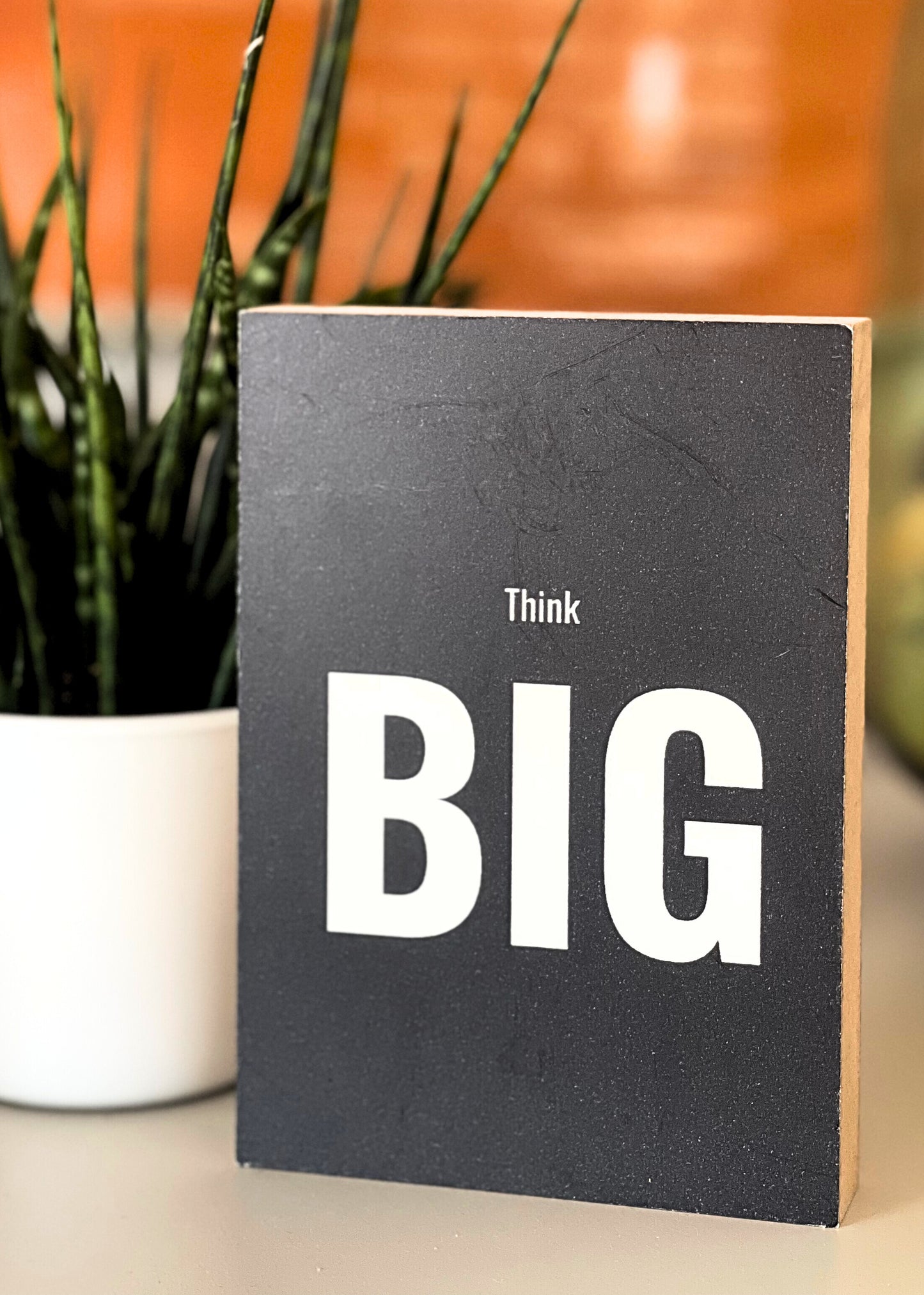 Holzbild "Think big" stehend auf einem Sideboard neben einer Pflanze.