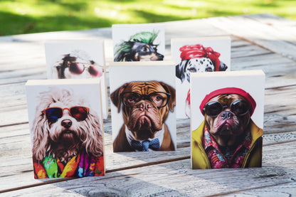 Alle sechs Motive der Kollektion Crazy dogs auf einem Holztisch stehend.