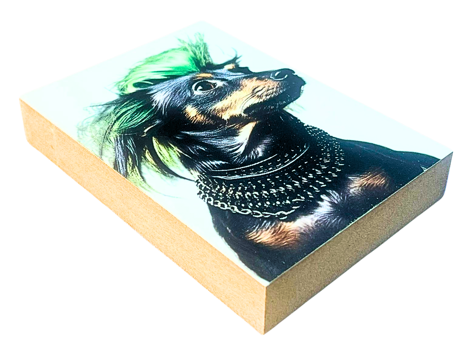 Liegende Ansicht des Holzbildes auf dem der Hals und Kopf eines Dackels im Punker Outfit mit grünen Haaren zu sehen ist.