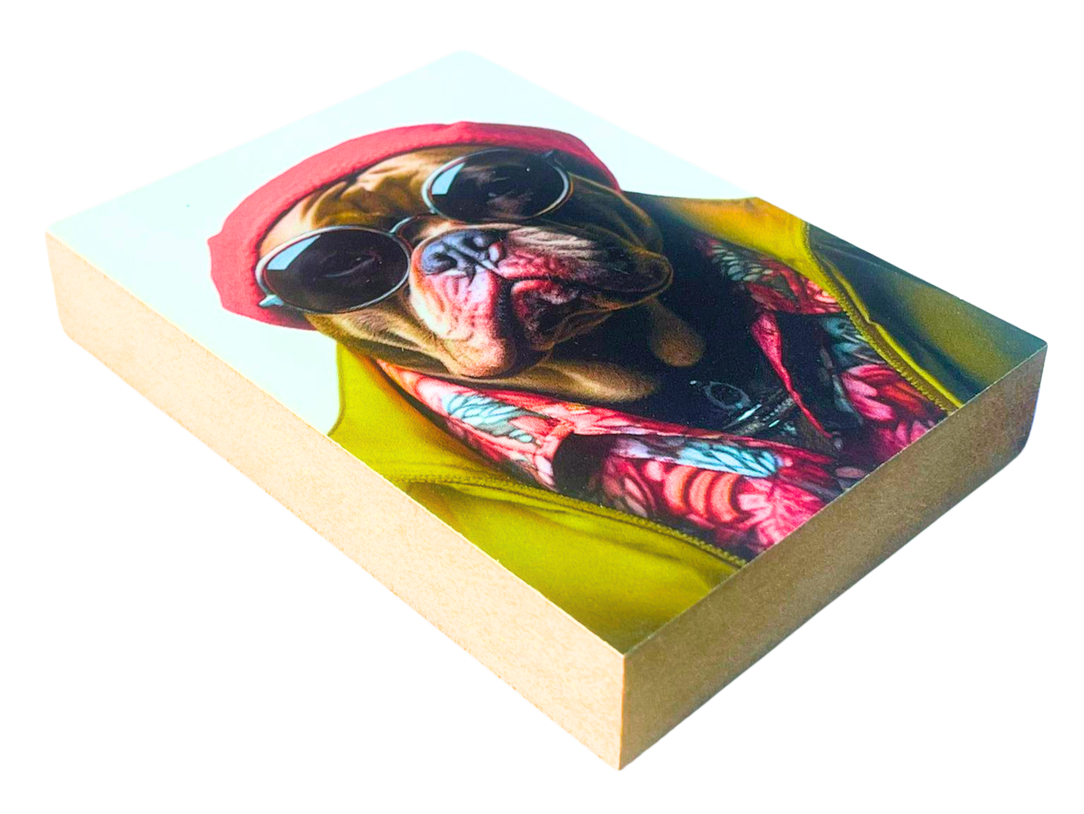 Liegende Ansicht Holzbild mit dem Kopf eines Mastino Rüden mit Mütze und Sonnenbrille.